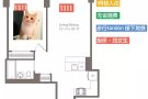 BK downtown豪楼找女生厅卧，仅1111，1月初入住