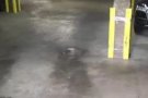 车库出租