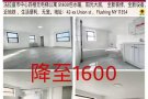 -------‼️法拉盛中心及周边1房/2房/3房/4房‼️--------