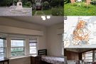 $680，纽约市森林公园旁边温馨小家