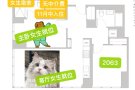Lic 招次卧室友