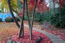 长岛37出口roslyn学区studio出租