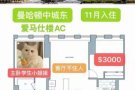 曼哈顿豪楼American Copper拼室友啦！