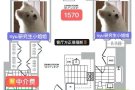 6/7/8月 纽约留学生拼室友