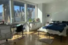 罗斯福岛朝南四季阳光Studio Condo