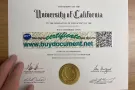 WhatsApp: +852 56142185 Buy a fake UC Irvine diploma. UCB