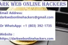 THE BEST COMPANY TO RECLAIM LOST BITCOIN /USDT /ETH
