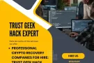 BITCOIN RECOVERY SERVICE- HOW THEY WORK  HIRE TRUST GEEKS