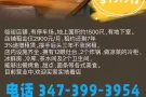 白石镇超低租金餐馆转让19.9万