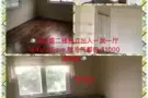 法拉盛 164 st / 45 Ave 1 房 1 厅