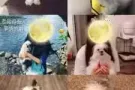 【求租】寻单人房（外带一只性格超好的狗狗，不是我自夸几乎没有人不喜欢它）