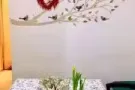 Elmhurst新金鳞超市旁超大单间出租限女生