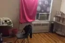 普通房出租