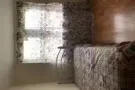 法拉盛罗斯福单房