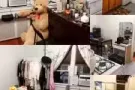 1房一厅出租