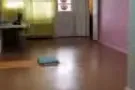 法拉盛大房间出租即可入住