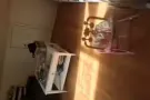 皇后区靠近森林小丘大套房出租