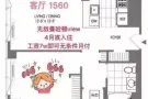 曼哈顿下城金融区最繁华地段2087找女生室友
