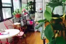 Elmhurst/RegoPark两单房出租6/2025 $850/$700月 拎包入住 房东直租