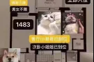 罗岛豪楼  闹中取静 天然氧吧 ny的秘密花园
