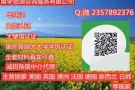 Q//薇：2357892376丨毕业正丨城绩单丨学历任证丨√100%存档可查
