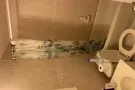Queens超舒适单间出租啦！！可尽快入住