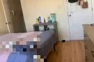 Elmhurst超大阳光单房