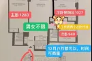 美丽而又静谧的罗岛找室友啦！！