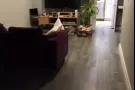 屋主自租白石镇半土库一房一厅
