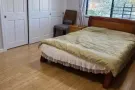 college point 全新装修大套房出租(水电网空调)全包