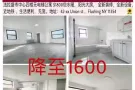 -------‼️法拉盛中心及周边1房/2房/3房/4房‼️--------
