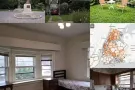 $680，纽约市森林公园旁边温馨小家