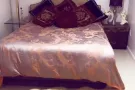 法拉盛 金城发 凯西娜公园附近 精装一房一厅一卫 独立进出 拎包入住 850刀全包 电6465206383