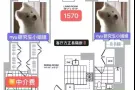 6/7/8月 纽约留学生拼室友