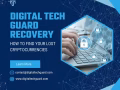 SUCCESSFUL BITCOIN RECOVERY WITH DIGITAL TECH GUARD TEAM