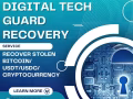 TECH-SOLUTIONS RECOVERY COMPANY/ DIGITAL TECH GUARD RECOVERY