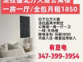 法拉盛北方大道，公寓楼一房一厅，全包月租1850