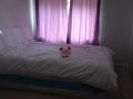 法拉盛靠近图书馆单房出租