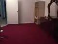 法拉盛大单间 出租