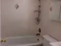 Rego Park 雷哥公园2房一厅舒适公寓出租，家具齐全，立即入住，$1800