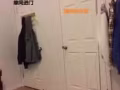 brooklyn布鲁克林大单间出租