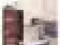 威霍肯（近林肯隧道）招租600刀/月客厅室友，超高性价。