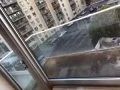 Elmhurst 豪华一室一厅转租