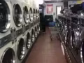 Middle Village洗衣店 出售