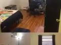 【Elmhurst一间卧室转租】仅限女生！$625一个月拎包随时入住！