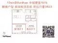 10分钟到fordham 中城便宜一房一厅