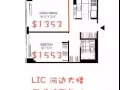 lic大楼便宜1b1b
