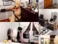 1房一厅出租