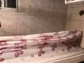 套房 獨立衛生間 安靜