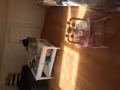 皇后区靠近森林小丘大套房出租
